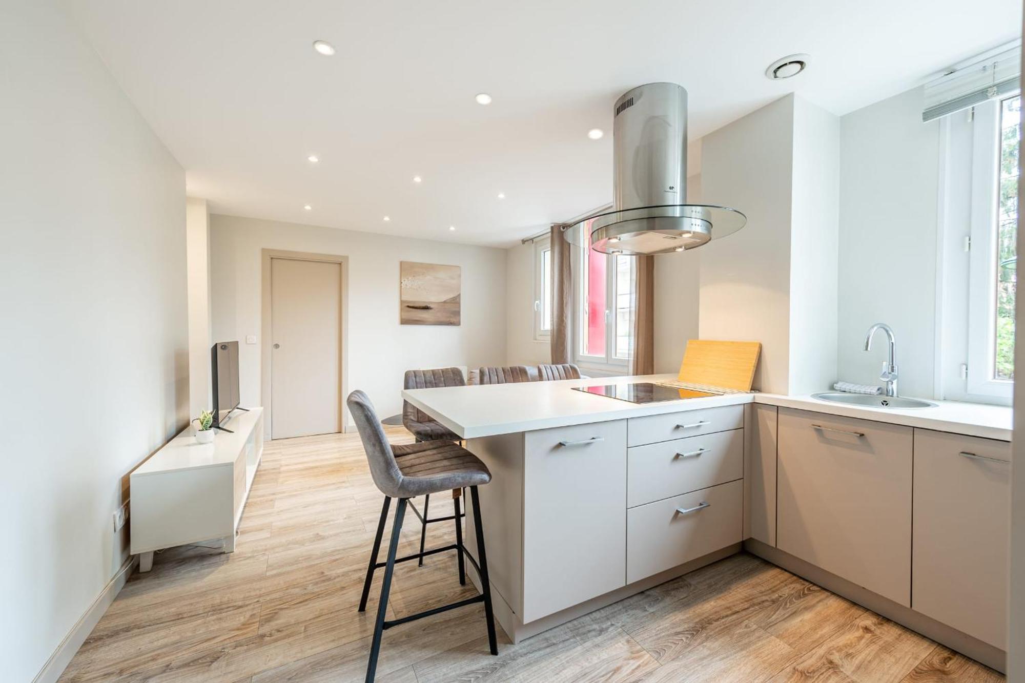 Rio Appartement Au Centre Ville Анси Экстерьер фото